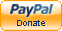 Pay-Pal Icon